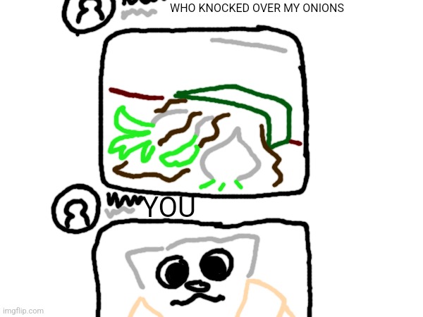 WHO KNOCKED OVER MY ONIONS YOU | made w/ Imgflip meme maker