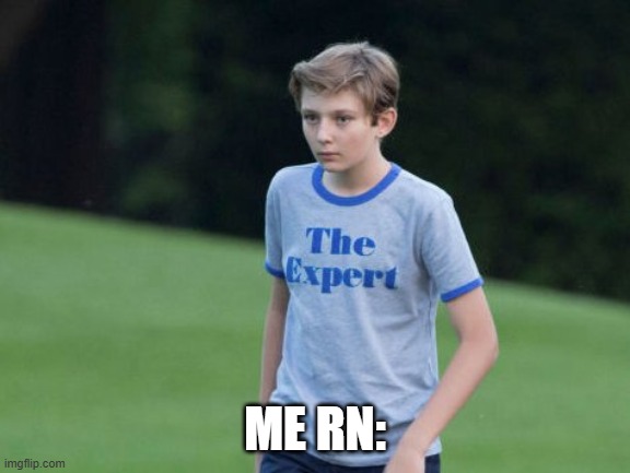 The Expert | ME RN: | image tagged in the expert | made w/ Imgflip meme maker