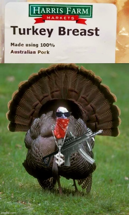 Pork | image tagged in gangsta turkey,pork,turkey,turkey breast,you had one job,memes | made w/ Imgflip meme maker