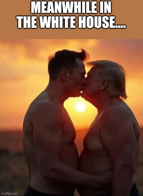 Steamy stuff | MEANWHILE IN THE WHITE HOUSE.... | image tagged in maga,donald trump,elon musk,trump,nevertrump,nevertrump meme | made w/ Imgflip meme maker