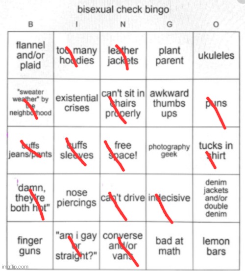 Bisexual Bingo | image tagged in bisexual bingo | made w/ Imgflip meme maker