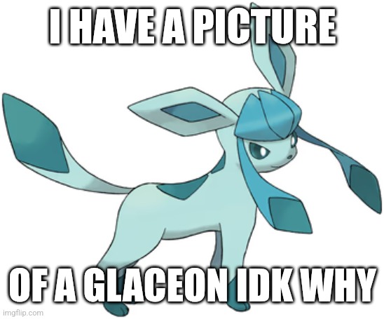 Why do I? | I HAVE A PICTURE; OF A GLACEON IDK WHY | image tagged in glaceon | made w/ Imgflip meme maker