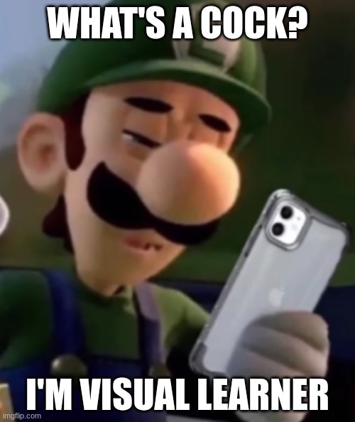 Luigi With Phone | WHAT'S A COCK? I'M VISUAL LEARNER | image tagged in luigi with phone | made w/ Imgflip meme maker