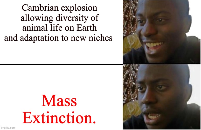 Biology Meme - Cambrian Explosion | Cambrian explosion allowing diversity of animal life on Earth and adaptation to new niches; Mass Extinction. | image tagged in disappointed black guy | made w/ Imgflip meme maker