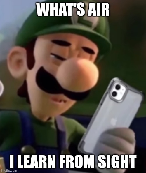 Luigi With Phone | WHAT'S AIR; I LEARN FROM SIGHT | image tagged in luigi with phone | made w/ Imgflip meme maker