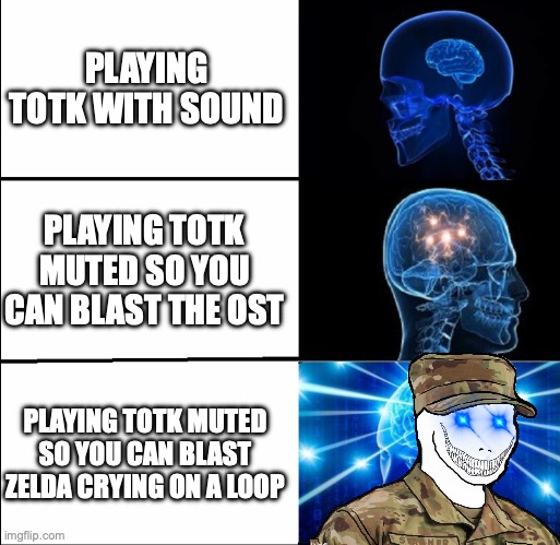 what were y'all expecting? | PLAYING TOTK WITH SOUND; PLAYING TOTK MUTED SO YOU CAN BLAST THE OST; PLAYING TOTK MUTED SO YOU CAN BLAST ZELDA CRYING ON A LOOP | image tagged in galaxy brain 3 brains,psycho | made w/ Imgflip meme maker