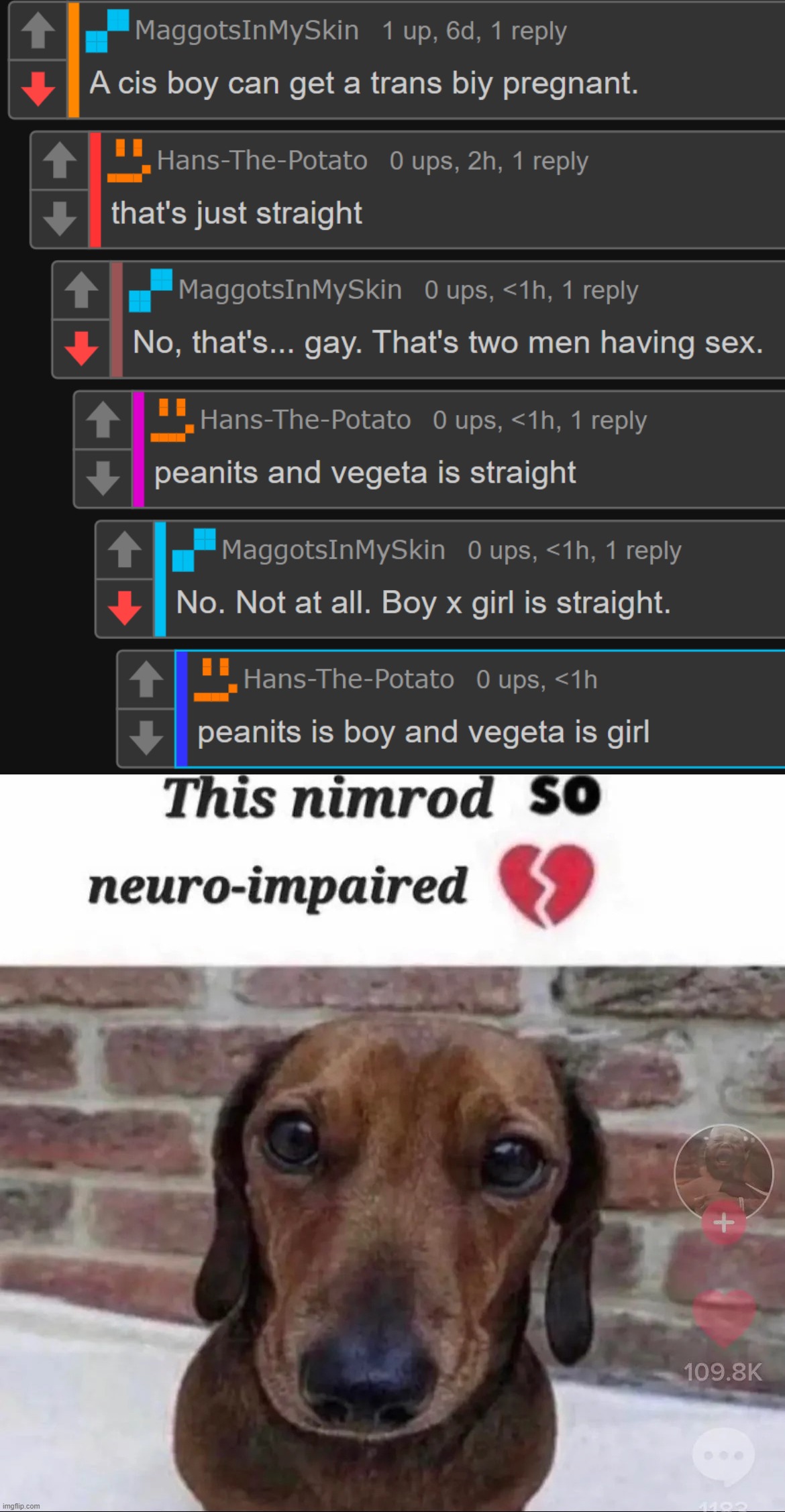 image tagged in this nimrod so neuro-impaired | made w/ Imgflip meme maker