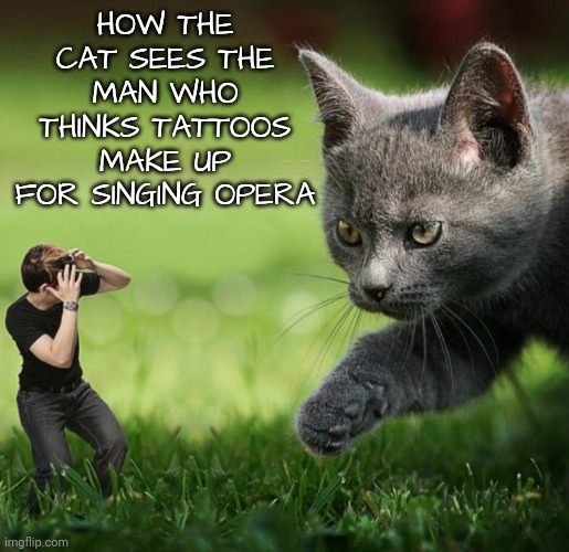 HOW THE CAT SEES THE MAN WHO THINKS TATTOOS MAKE UP FOR SINGING OPERA | made w/ Imgflip meme maker