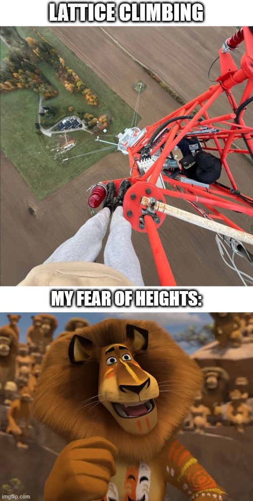 My fear of heights, climbing meme. | LATTICE CLIMBING; MY FEAR OF HEIGHTS: | image tagged in extremgittersteigen,lattice climbing,alex the lion,madagascar,movie,klettern | made w/ Imgflip meme maker