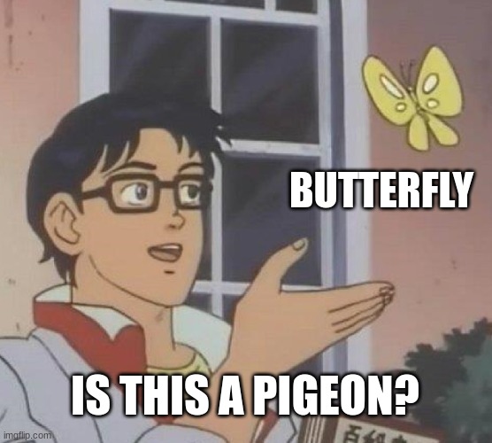 Is This A Pigeon | BUTTERFLY; IS THIS A PIGEON? | image tagged in memes,is this a pigeon | made w/ Imgflip meme maker
