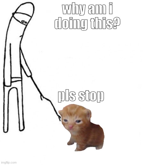 c'mon do something | why am i doing this? pls stop | image tagged in c'mon do something | made w/ Imgflip meme maker