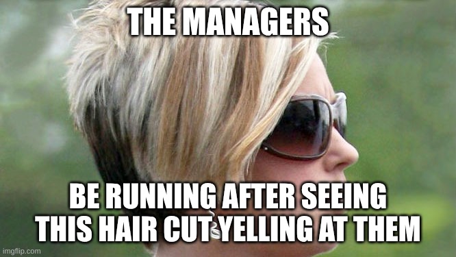 Karen | THE MANAGERS BE RUNNING AFTER SEEING THIS HAIR CUT YELLING AT THEM | image tagged in karen | made w/ Imgflip meme maker