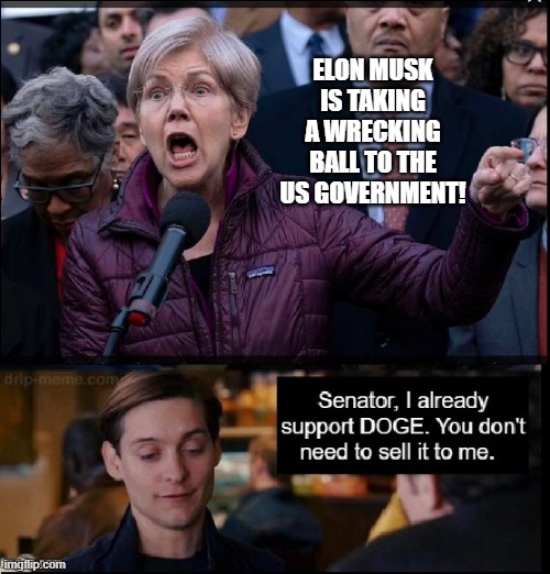 Dear Senator, you don't need to sell it to me. | ELON MUSK IS TAKING A WRECKING BALL TO THE US GOVERNMENT! | image tagged in doge,warren,weckingball,government,musk,elon | made w/ Imgflip meme maker