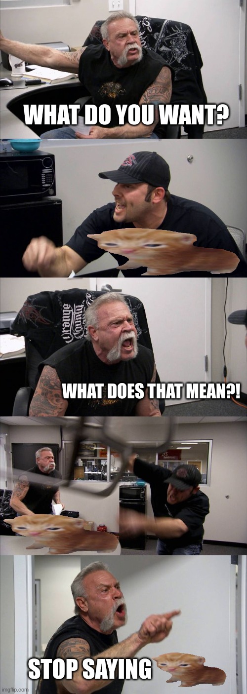 American Chopper Argument Meme | WHAT DO YOU WANT? WHAT DOES THAT MEAN?! STOP SAYING | image tagged in memes,american chopper argument | made w/ Imgflip meme maker