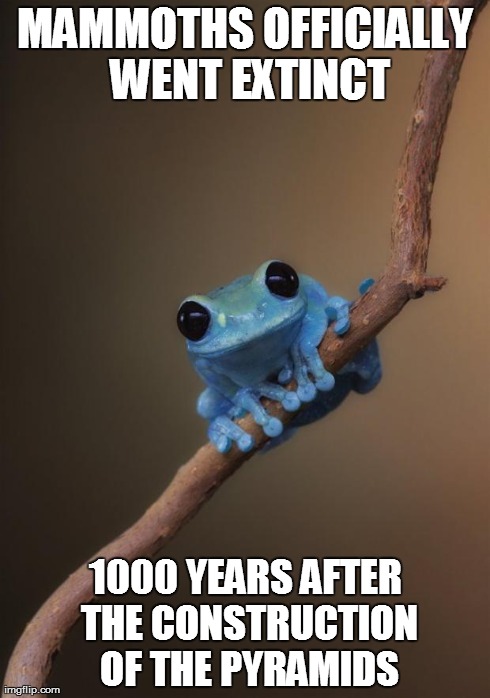 small fact frog | MAMMOTHS OFFICIALLY WENT EXTINCT 1000 YEARS AFTER THE CONSTRUCTION OF THE PYRAMIDS | image tagged in small fact frog,AdviceAnimals | made w/ Imgflip meme maker