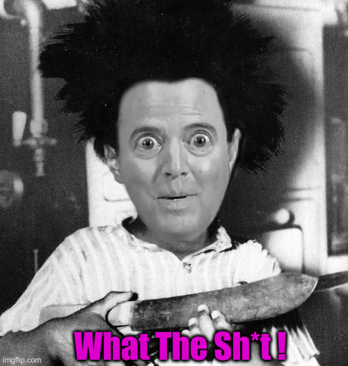 Adam Schiff Buckwheat | What The Sh*t ! | image tagged in adam schiff buckwheat | made w/ Imgflip meme maker