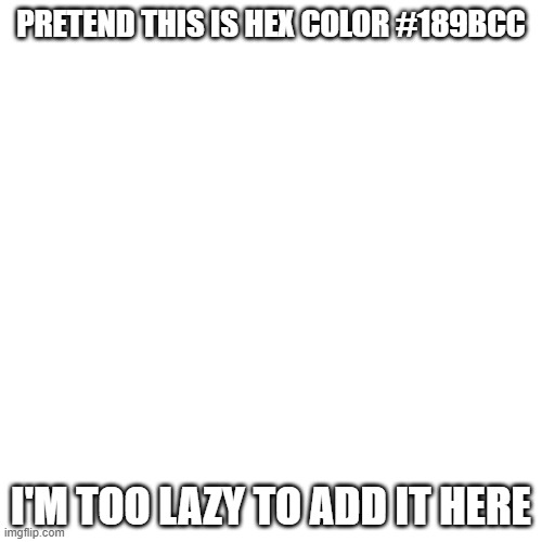 PRETEND THIS IS HEX COLOR #189BCC; I'M TOO LAZY TO ADD IT HERE | made w/ Imgflip meme maker