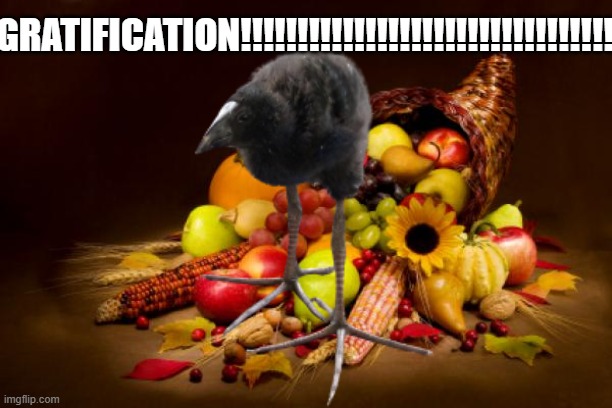 Thanksgiving | GRATIFICATION!!!!!!!!!!!!!!!!!!!!!!!!!!!!!!!!!!!! | image tagged in thanksgiving | made w/ Imgflip meme maker