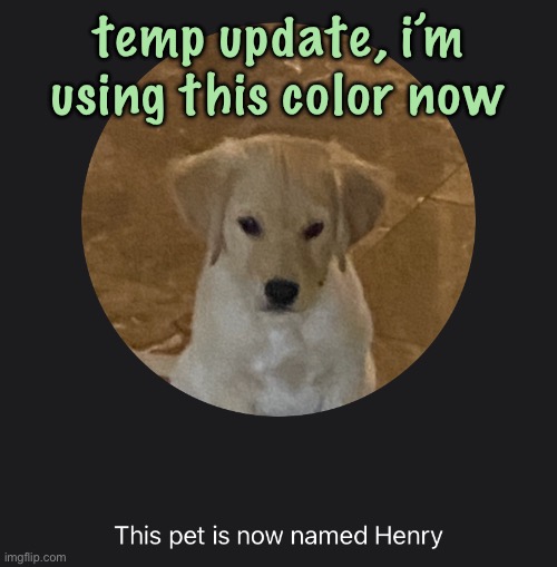 not actually | temp update, i’m using this color now | image tagged in say hi to henry,cinnabox announcement | made w/ Imgflip meme maker