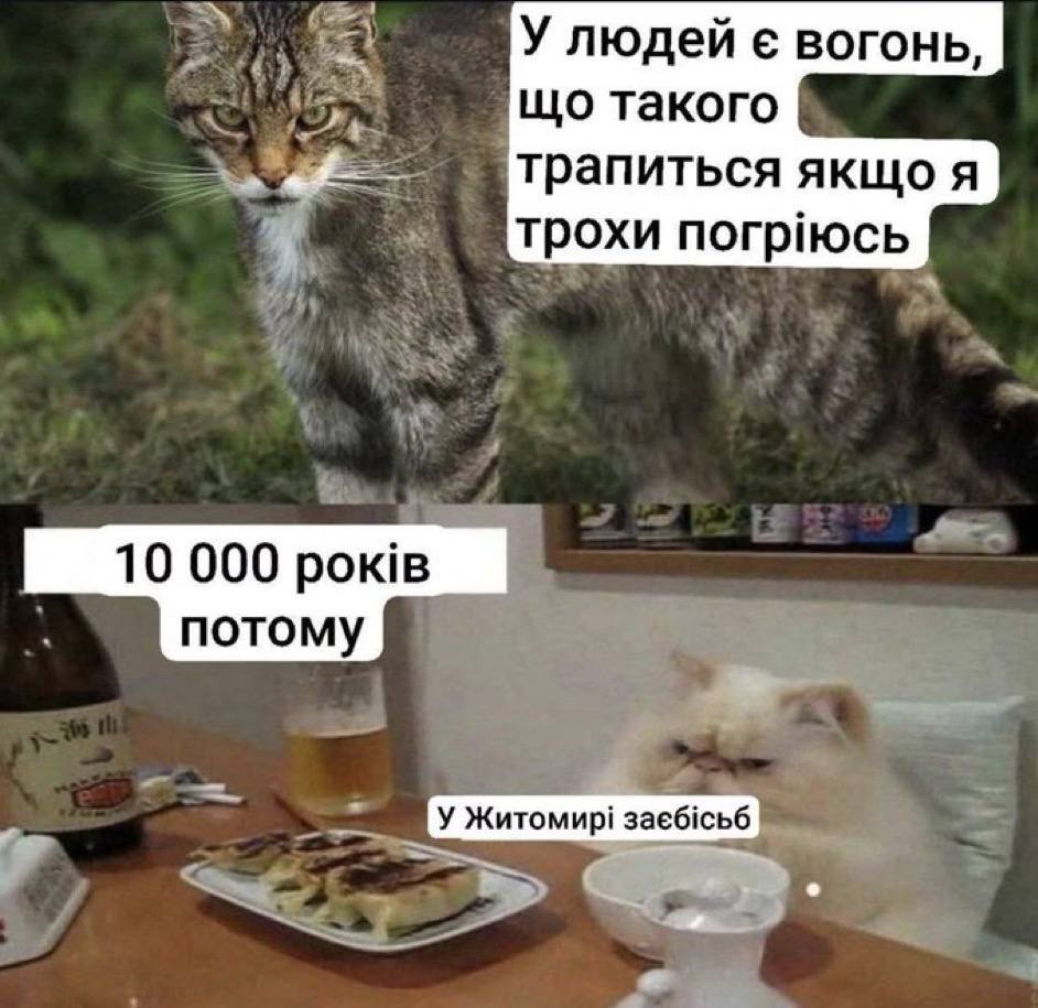 У Житомирі заєбісьб Blank Meme Template
