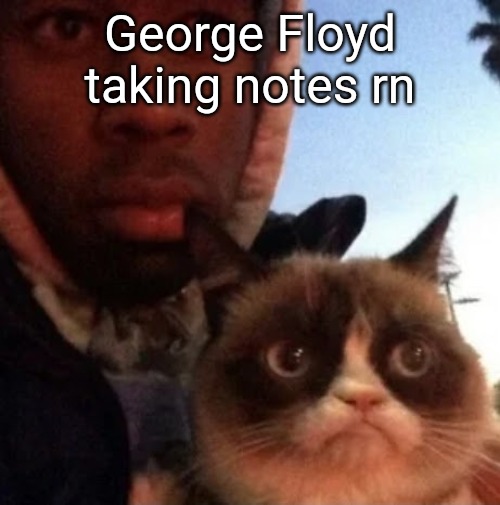 tyler the creator and grumpy cat | George Floyd taking notes rn | image tagged in tyler the creator and grumpy cat | made w/ Imgflip meme maker