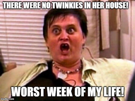 God warrior | THERE WERE NO TWINKIES IN HER HOUSE! WORST WEEK OF MY LIFE! | image tagged in god warrior,twinkies,worst,fat | made w/ Imgflip meme maker