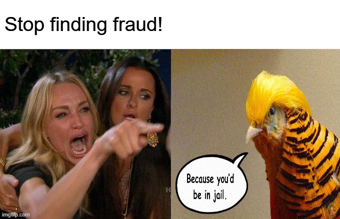 Woman Yelling at Bird | Stop finding fraud! | image tagged in memes,woman yelling at cat | made w/ Imgflip meme maker