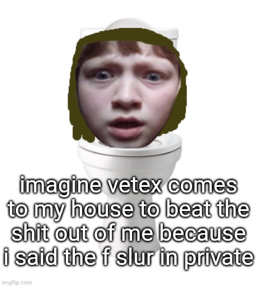 skibidi nat | imagine vetex comes to my house to beat the shit out of me because i said the f slur in private | image tagged in skibidi nat | made w/ Imgflip meme maker