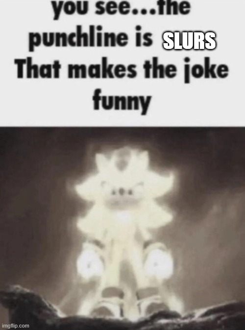 You see the punchline is that makes the joke funny shadow | SLURS | image tagged in you see the punchline is that makes the joke funny shadow | made w/ Imgflip meme maker