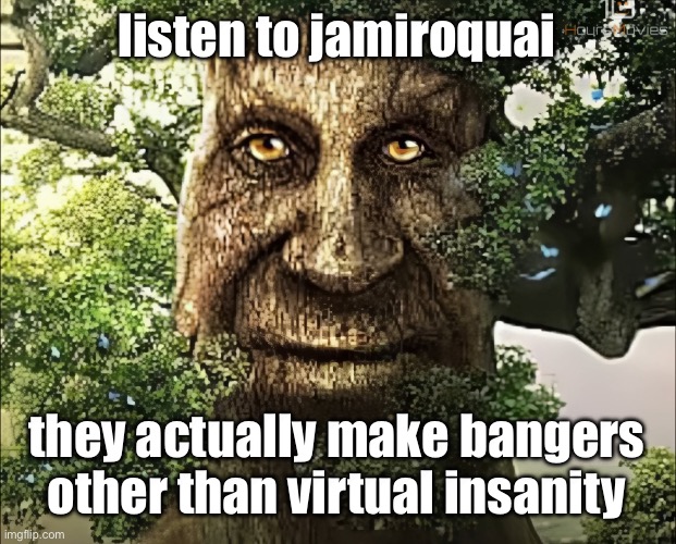 tree | listen to jamiroquai; they actually make bangers other than virtual insanity | image tagged in tree | made w/ Imgflip meme maker