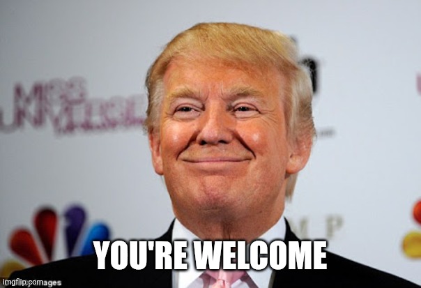 Donald trump approves | YOU'RE WELCOME | image tagged in donald trump approves | made w/ Imgflip meme maker