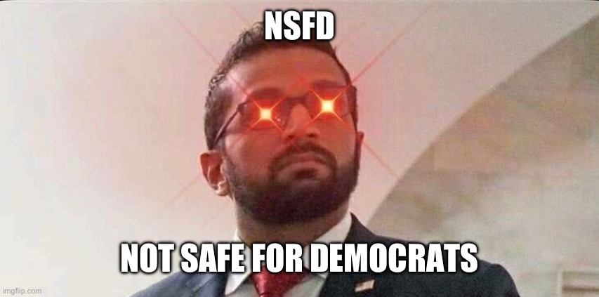 NSFD; NOT SAFE FOR DEMOCRATS | made w/ Imgflip meme maker