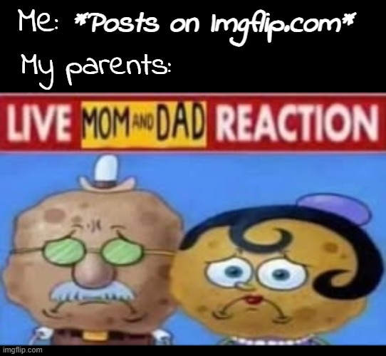 Me:; *Posts on Imgflip.com*; My parents: | made w/ Imgflip meme maker