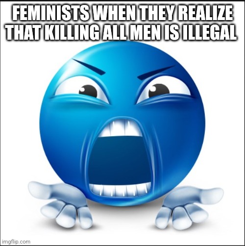 Angry Blue Guy | FEMINISTS WHEN THEY REALIZE THAT KILLING ALL MEN IS ILLEGAL | image tagged in angry blue guy | made w/ Imgflip meme maker