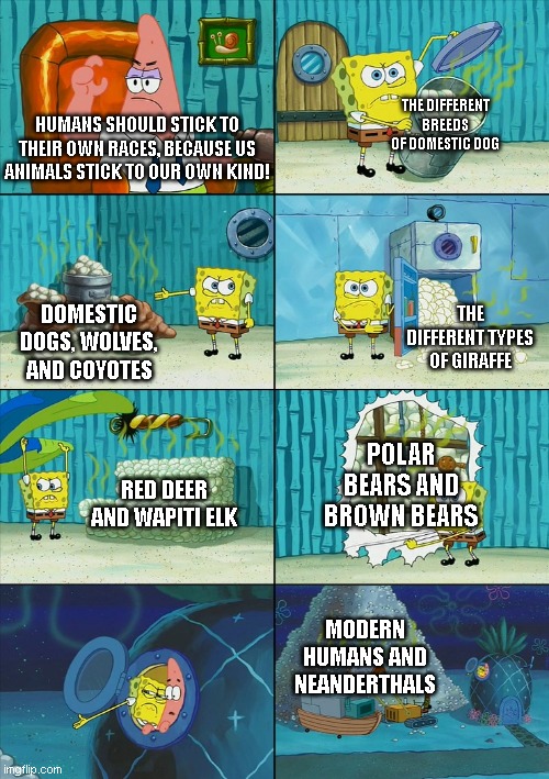 For my purposes, I've only listed groups of creatures that produce (or produced) fertile hybrids with each other | THE DIFFERENT BREEDS OF DOMESTIC DOG; HUMANS SHOULD STICK TO THEIR OWN RACES, BECAUSE US ANIMALS STICK TO OUR OWN KIND! THE DIFFERENT TYPES OF GIRAFFE; DOMESTIC DOGS, WOLVES, AND COYOTES; POLAR BEARS AND BROWN BEARS; RED DEER AND WAPITI ELK; MODERN HUMANS AND NEANDERTHALS | image tagged in spongebob shows patrick garbage | made w/ Imgflip meme maker