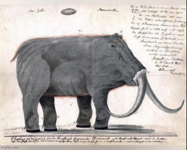 Cursed mammoth reconstruction.mp3 | made w/ Imgflip meme maker