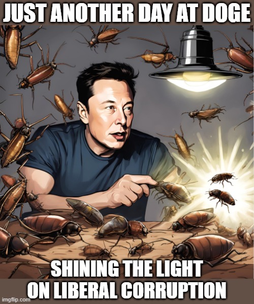 Fun to watch the libbies scatter from the light and cry in the streets.... | JUST ANOTHER DAY AT DOGE; SHINING THE LIGHT ON LIBERAL CORRUPTION | image tagged in doge,donald trump,elon musk,government corruption | made w/ Imgflip meme maker