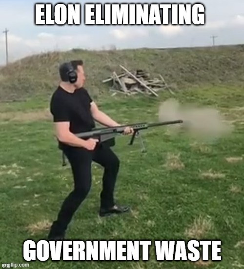 Elon | ELON ELIMINATING; GOVERNMENT WASTE | image tagged in elon musk | made w/ Imgflip meme maker