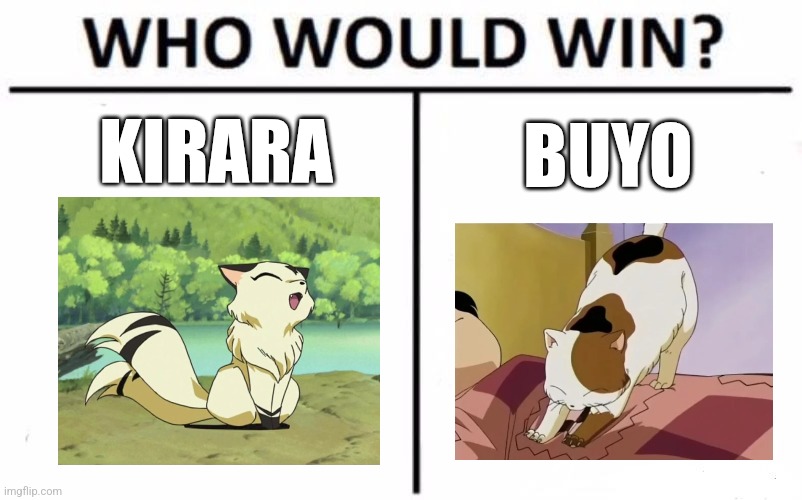 Who Would Win? Meme | KIRARA; BUYO | image tagged in memes,who would win,inuyasha,cats,kirara,buyo | made w/ Imgflip meme maker