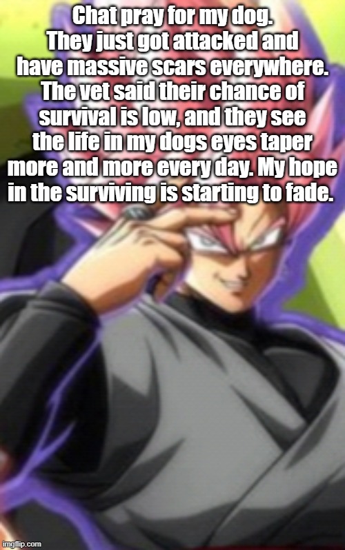 Smart goku black | Chat pray for my dog. They just got attacked and have massive scars everywhere. The vet said their chance of survival is low, and they see the life in my dogs eyes taper more and more every day. My hope in the surviving is starting to fade. | image tagged in smart goku black | made w/ Imgflip meme maker