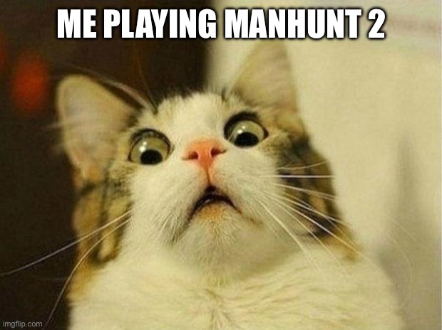 Scared Cat | ME PLAYING MANHUNT 2 | image tagged in memes,scared cat | made w/ Imgflip meme maker