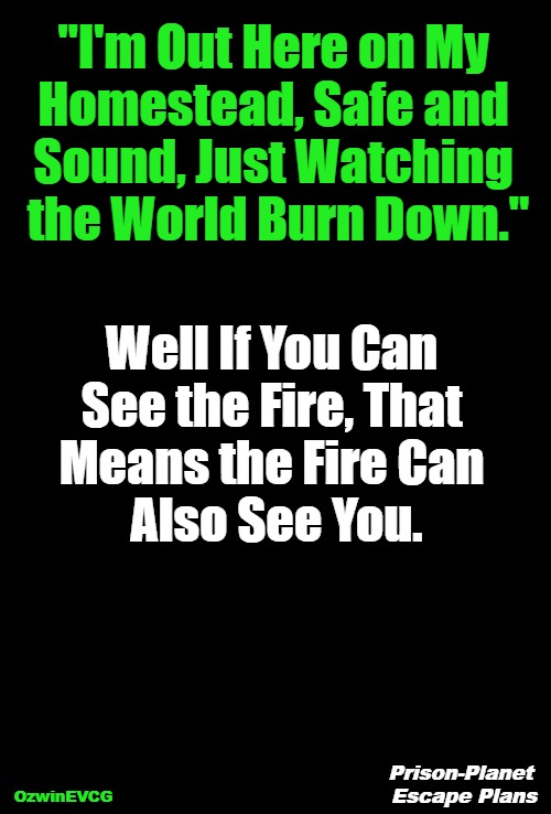 Prison-Planet Escape Plans | "I'm Out Here on My 

Homestead, Safe and 

Sound, Just Watching 

the World Burn Down."; Well If You Can 

See the Fire, That 

Means the Fire Can 

Also See You. Prison-Planet 

Escape Plans; OzwinEVCG | image tagged in say what,say what again,the struggle,2020s,prison planet,world occupied | made w/ Imgflip meme maker