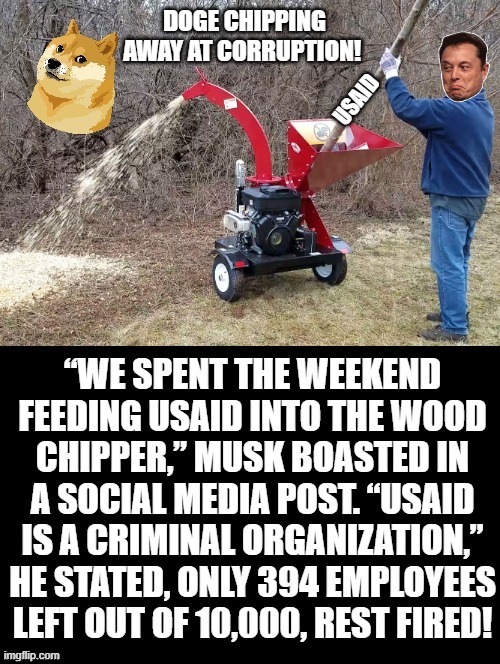 DOGE feeding corruption into the wood chipper!! | DOGE CHIPPING AWAY AT CORRUPTION! | image tagged in elon musk laughing | made w/ Imgflip meme maker