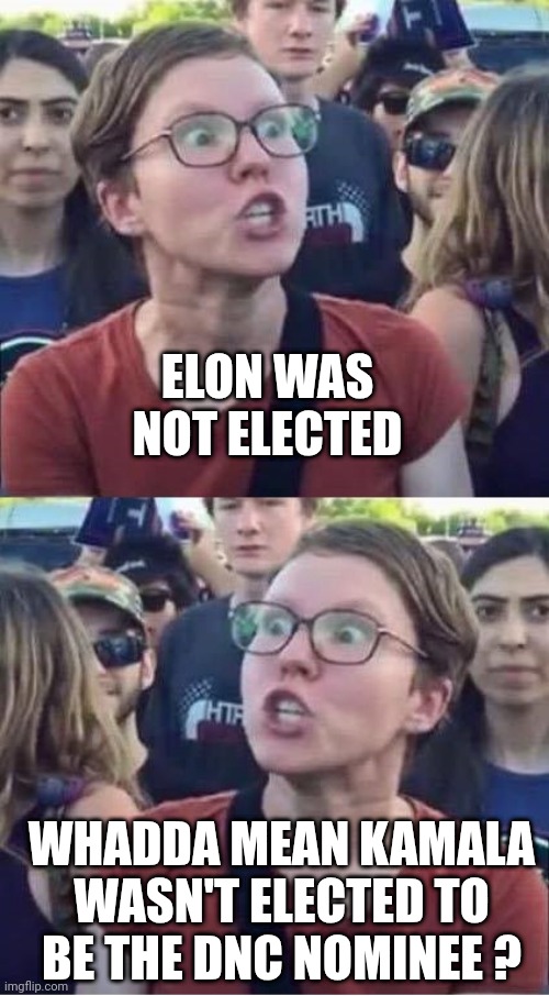 Angry Liberal Hypocrite | ELON WAS NOT ELECTED WHADDA MEAN KAMALA WASN'T ELECTED TO BE THE DNC NOMINEE ? | image tagged in angry liberal hypocrite | made w/ Imgflip meme maker