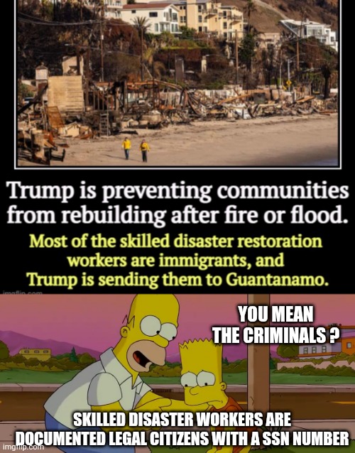 Get your facts straight | YOU MEAN THE CRIMINALS ? SKILLED DISASTER WORKERS ARE DOCUMENTED LEGAL CITIZENS WITH A SSN NUMBER | image tagged in homer and bart worst day so far,leftists,liberals | made w/ Imgflip meme maker