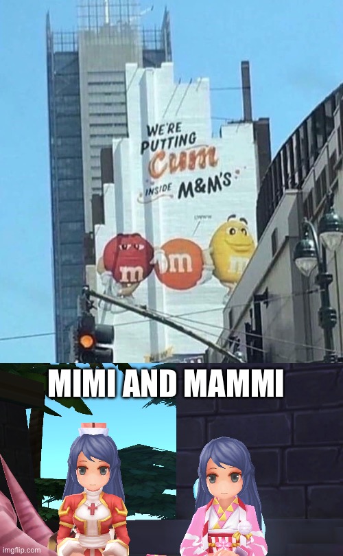 Twins | MIMI AND MAMMI | image tagged in super cute kawaii twin sisters,cum | made w/ Imgflip meme maker