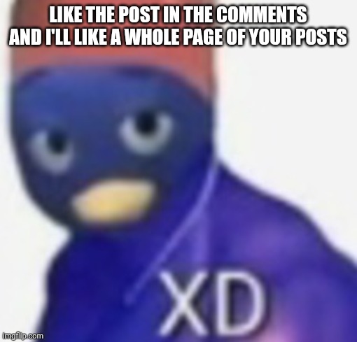 xD | LIKE THE POST IN THE COMMENTS AND I'LL LIKE A WHOLE PAGE OF YOUR POSTS | image tagged in xd | made w/ Imgflip meme maker