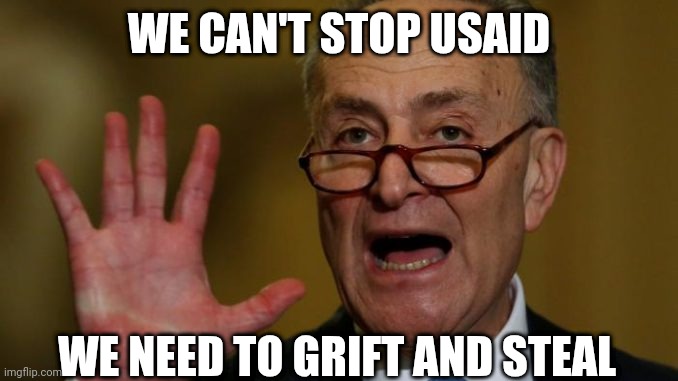 Chuck Schumer | WE CAN'T STOP USAID WE NEED TO GRIFT AND STEAL | image tagged in chuck schumer | made w/ Imgflip meme maker