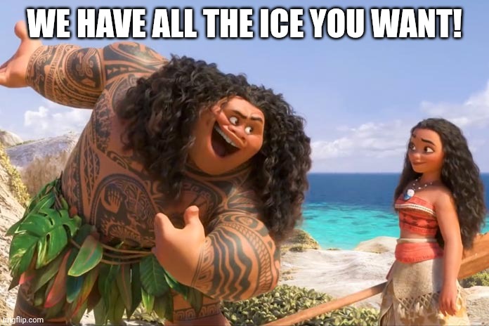 Moana Maui You're Welcome | WE HAVE ALL THE ICE YOU WANT! | image tagged in moana maui you're welcome | made w/ Imgflip meme maker