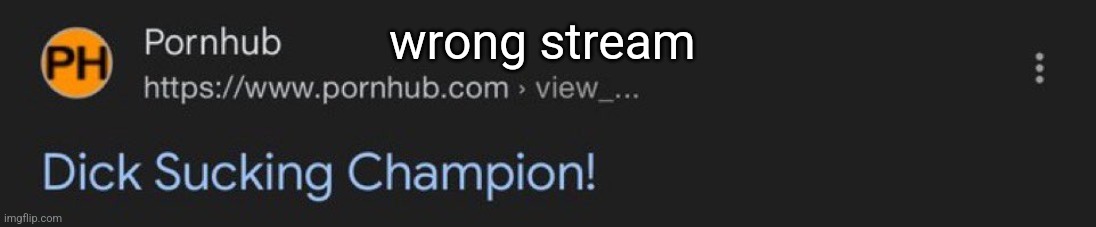 Dick Sucking Champion! | wrong stream | image tagged in dick sucking champion | made w/ Imgflip meme maker